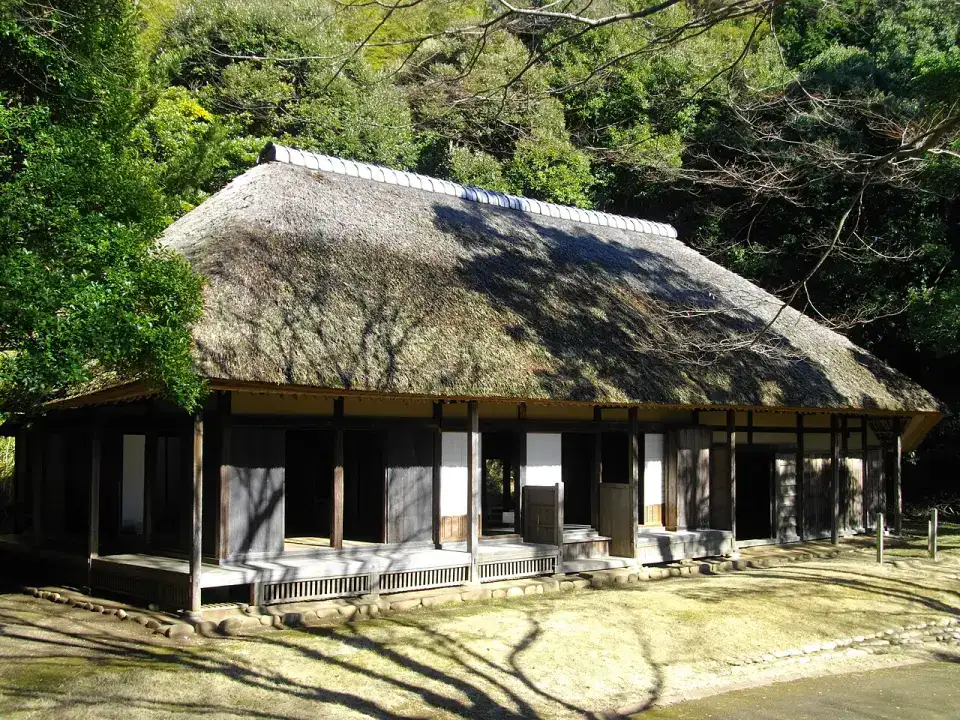 屋根や庭に木の影が落ちる旧薮家住宅の実写真
