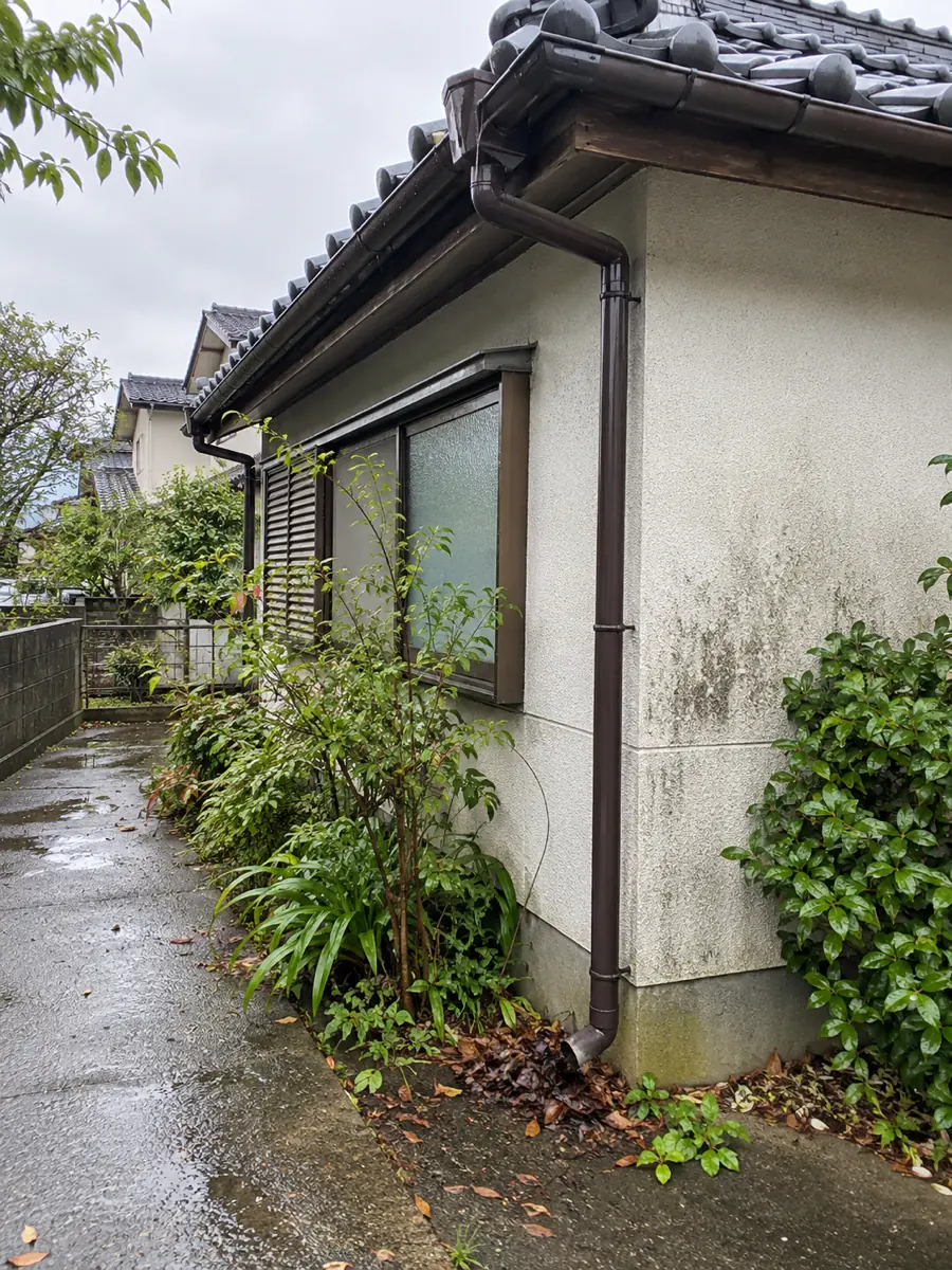 雨上がりの古い家の軒樋と濡れた通路、草木を地上から見た様子